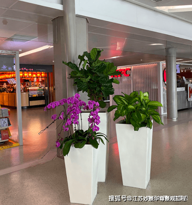 鲜花批发市场的活力与变化