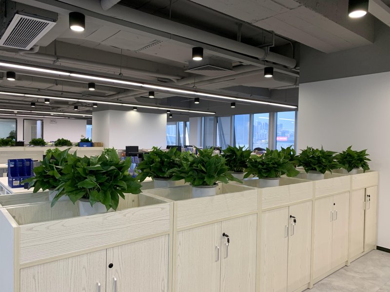 花卉行业的最新发展动态