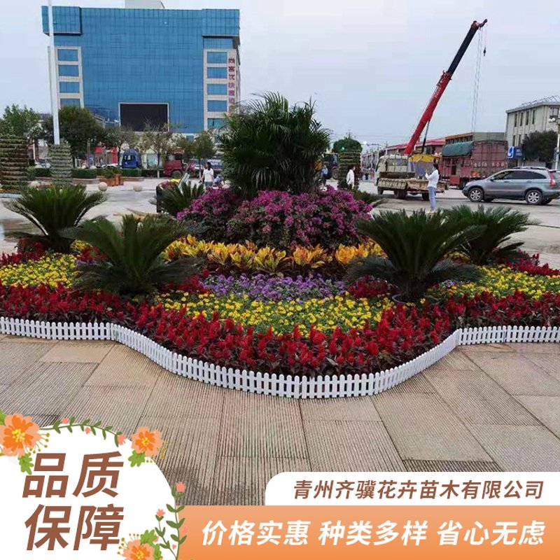 花卉租摆价格