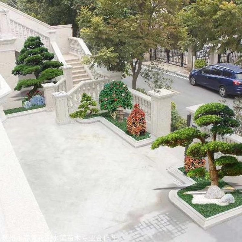 鲜花盆栽批发市场的繁荣景象