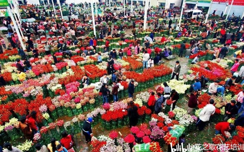 花卉界的艺术演绎：俊奇花卉引领潮流新风向
