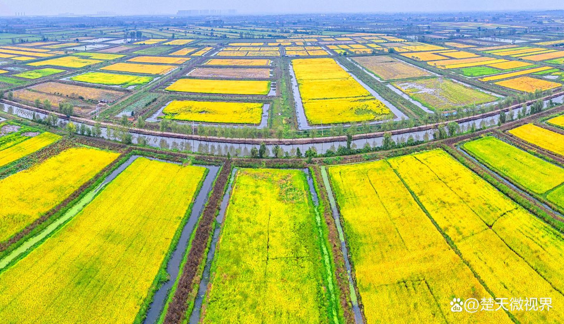 俊奇花卉