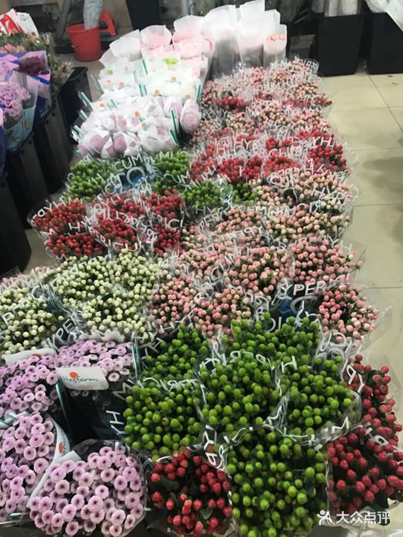 江北区花卉批发：走进城市绿洲的背后